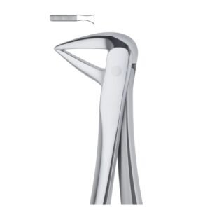 Molar Root Grip Stainless Dental Forceps