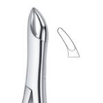 Precision Curve Grip Dental Forceps