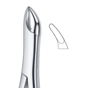 Precision Curve Grip Dental Forceps