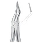 Precision Line Serrated Dental Forceps