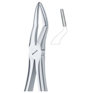 Precision Serrata Grip Dental Forceps