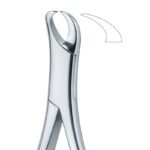 Premolar Curve Grip Dental Forceps
