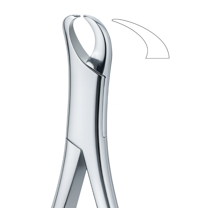 Premolar Curve Grip Dental Forceps Premolar Curve Grip Dental Forceps