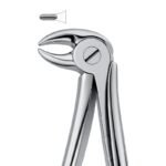 Premolar Curve Grip Dental Forceps