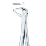 Premolar Grip Serrated Dental Forceps