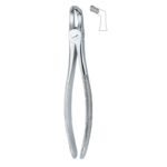 Profile Grip Serrated Dental Forceps