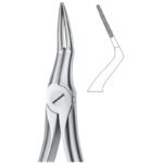 Profile Line Serrated Dental Forceps