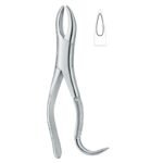 Root Contour Grip Dental Forceps