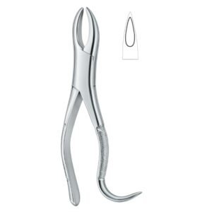 Root Contour Grip Dental Forceps