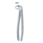 Root Grip Stainless Dental Forceps