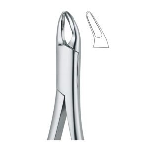 Root Serrata Grip Dental Forceps
