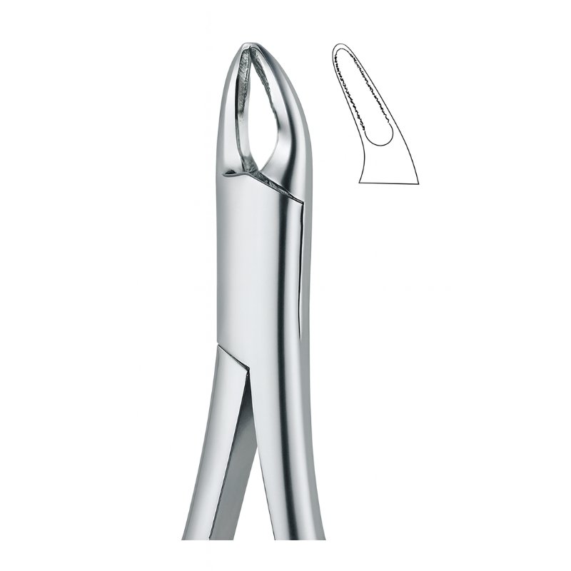 Root Serrata Grip Dental Forceps Root Serrata Grip Dental Forceps