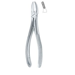 Serrata Axis Dental Forceps