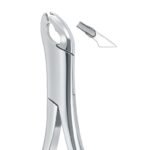 Serrata Contour Grip Dental Forceps