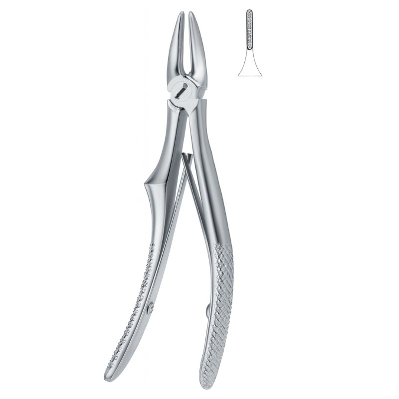Serrata Cross Dental Forceps Serrata Cross Dental Forceps