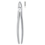 Serrata Grip Stainless Dental Forceps