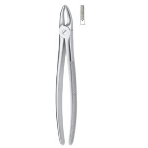 Serrata Grip Stainless Dental Forceps