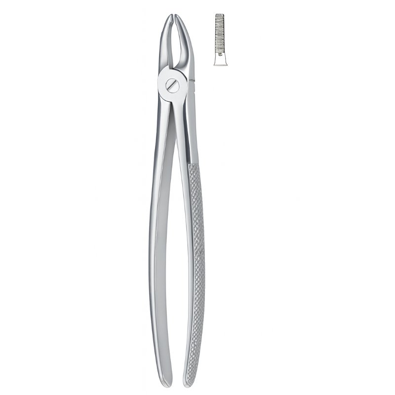 Serrata Grip Stainless Dental Forceps Serrata Grip Stainless Dental Forceps