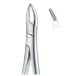 Serrata Grip Stainless Dental Forceps
