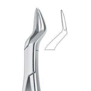 Serrata Molar Grip Dental Forceps