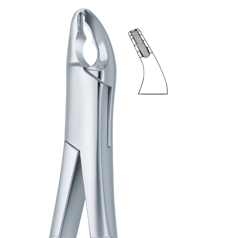 Serrata Precision Grip Dental Forceps Serrata Precision Grip Dental Forceps