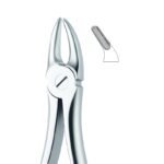 Serrated Beak Precision Dental Forceps