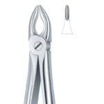 Serrated Beak Stainless Dental Forceps