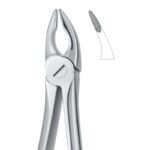Serrated Contour Stainless Dental Forceps
