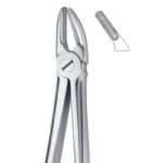 Serrated Grip Stainless Dental Forceps