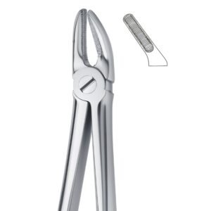 Serrated Grip Stainless Dental Forceps