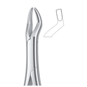 Superior Molar Curve Grip Dental Forceps