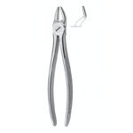 Superior Serrata Profile Dental Forceps