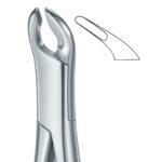 Tapered Curve Grip Dental Forceps
