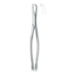 Textura Axis Grip Dental Forceps