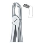 Textura Grip Serrated Dental Forceps