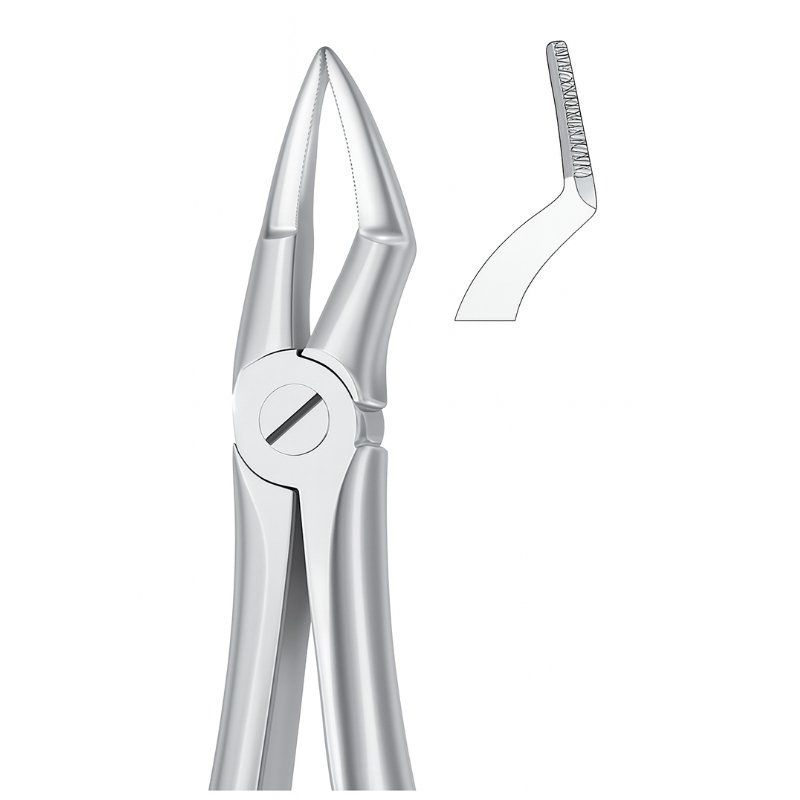Textura Grip Stainless Dental Forceps