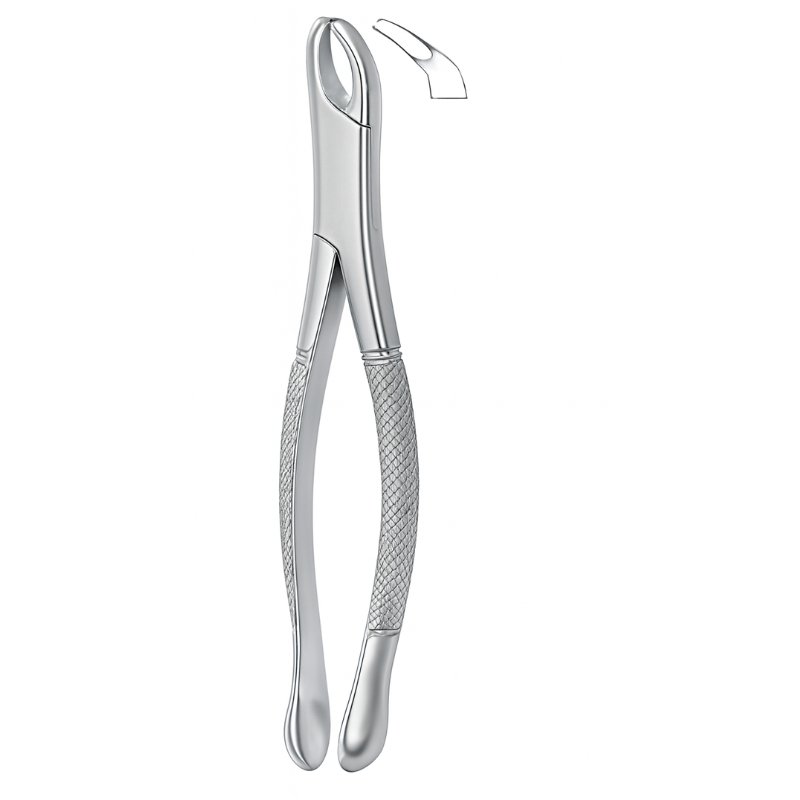 Textura Molar Grip Dental Forceps Textura Molar Grip Dental Forceps