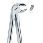 Tooth Profile Stainless Dental Forceps