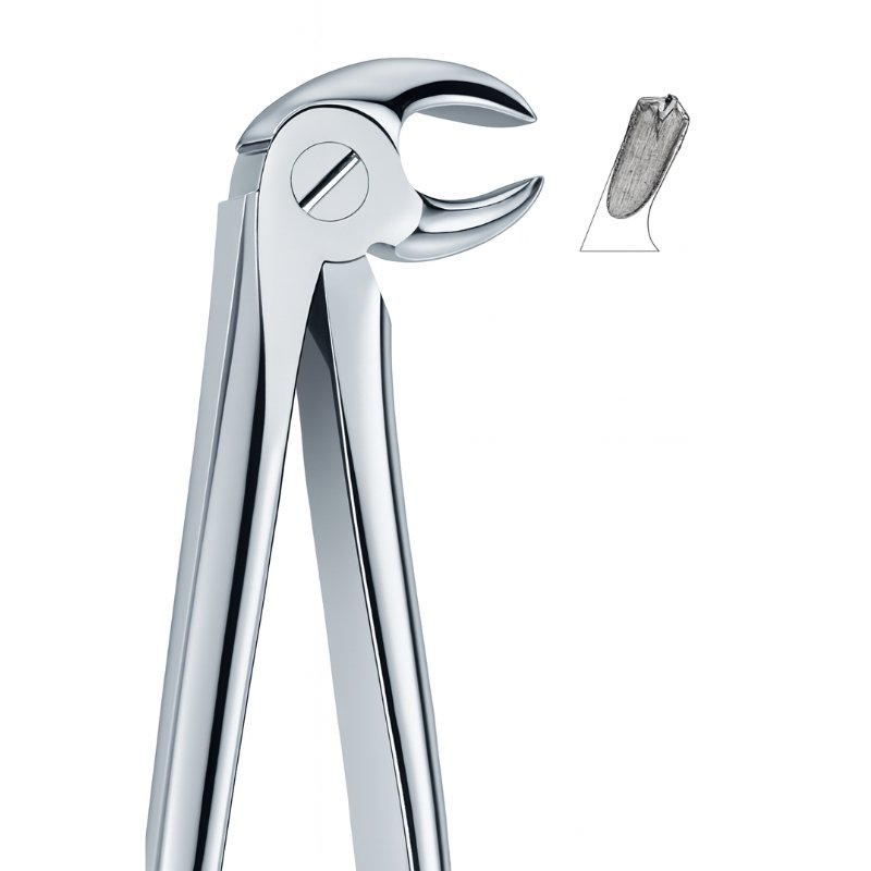 Tooth Profile Stainless Dental Forceps