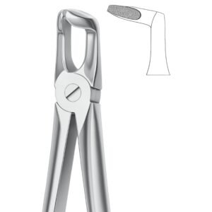Traction Align Serrated Dental Forceps