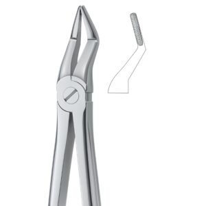 Traction Grip Serrated Dental Forceps