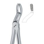 Traction Grip Stainless Dental Forceps