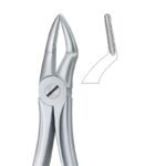 Upper Anterior Serrated Dental Forceps