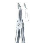 Upper Molar Anatomical Grip Dental Forceps