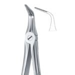Upper Molar Curved Serrated Dental Forceps