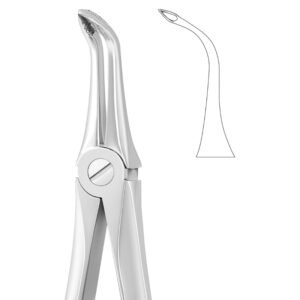 Upper Molar Ergo Grip Dental Forceps