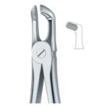 Upper Molar Secure Hold Dental Forceps