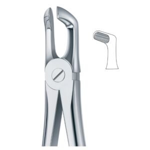 Upper Molar Secure Hold Dental Forceps