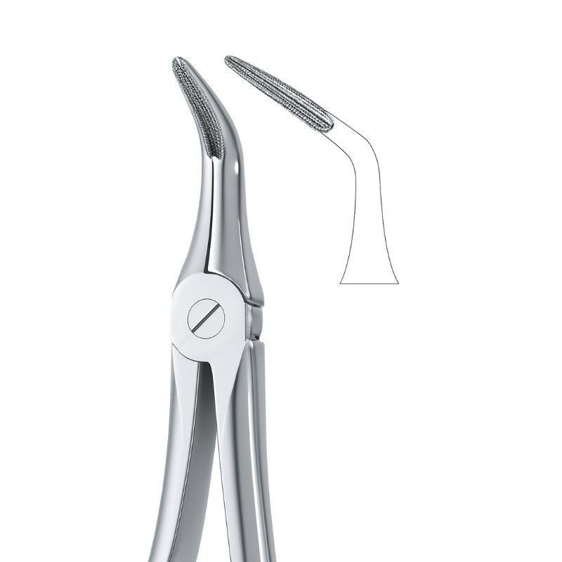 Upper Molar Serrated Dental Forceps Upper Molar Serrated Dental Forceps
