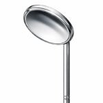 Chrome Oval Showerhead